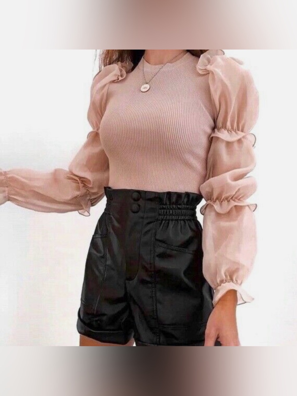 Zara Organza Knit Top